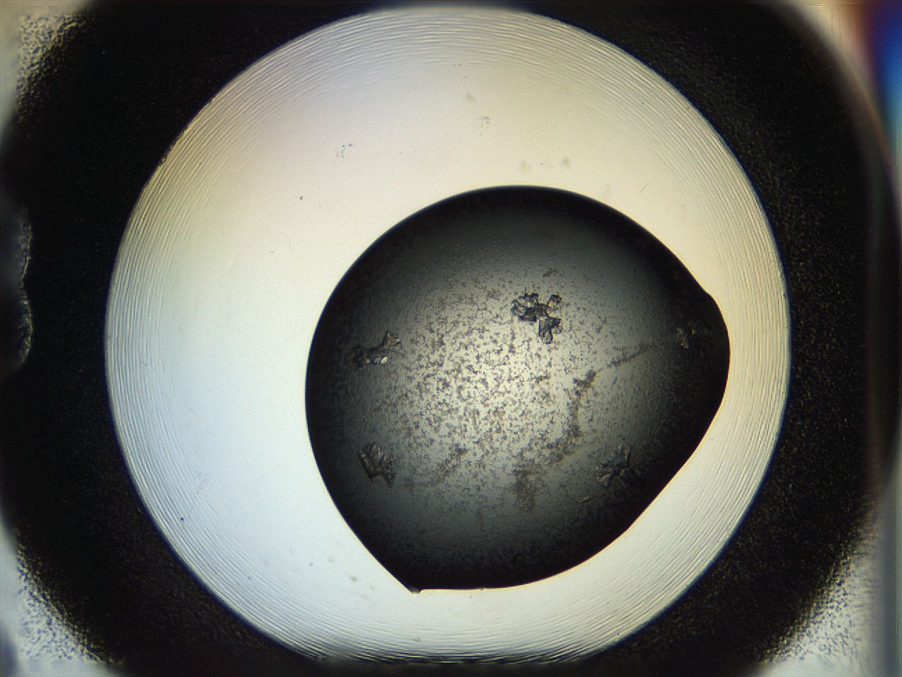 058l_B8_ImagerDefaults_7.jpg