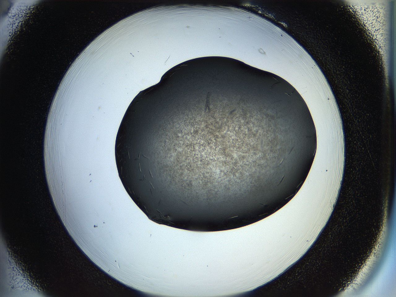 058l_B6_ImagerDefaults_7.jpg