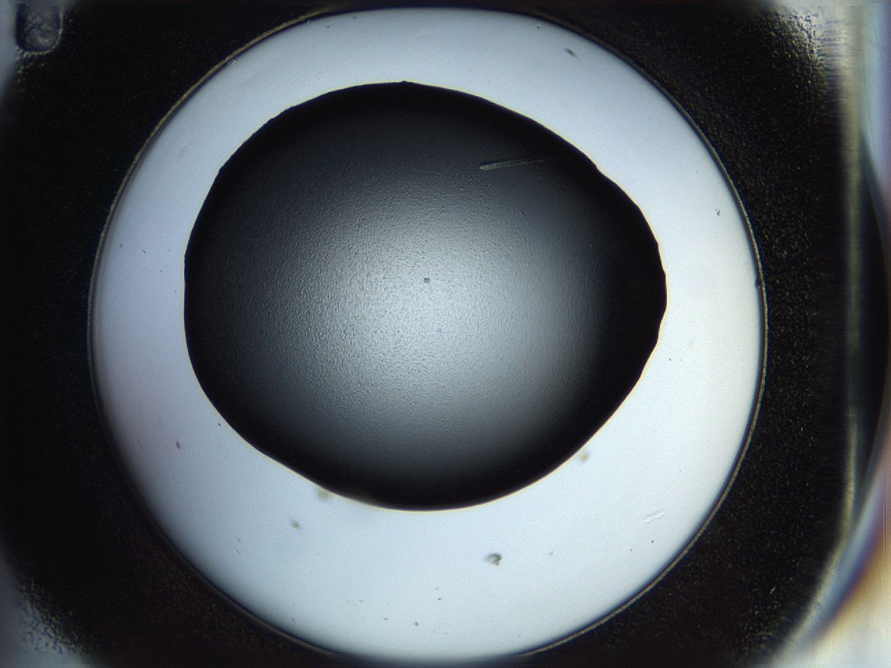 058l_D11_ImagerDefaults_9.jpg
