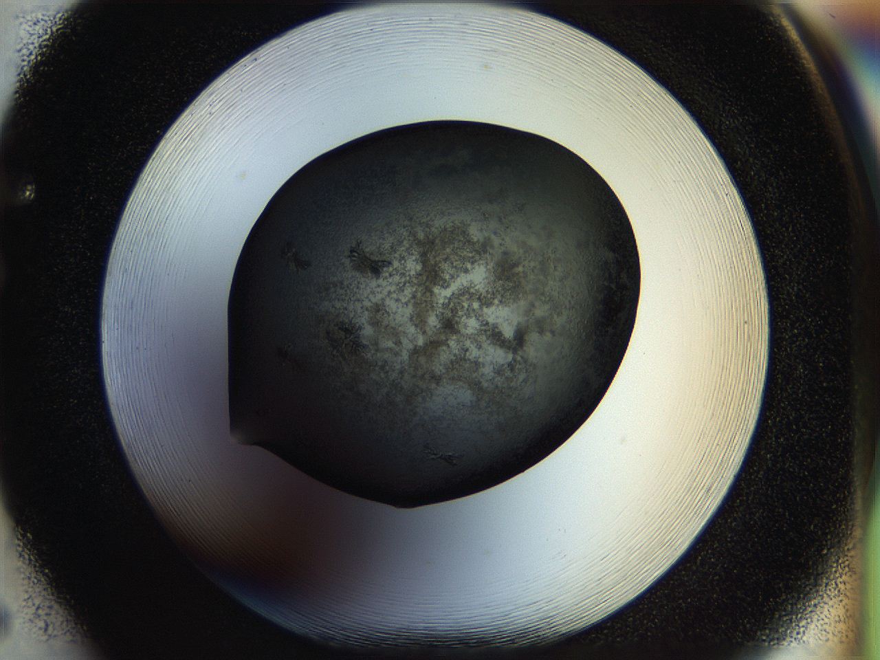 058l_F5_ImagerDefaults_7.jpg