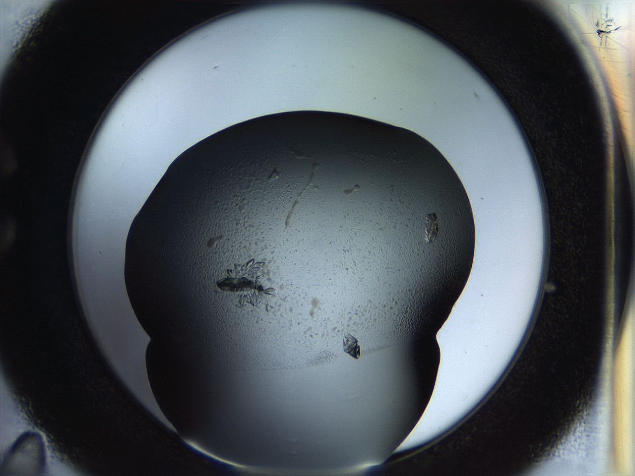 058l_C11_ImagerDefaults_9.jpg