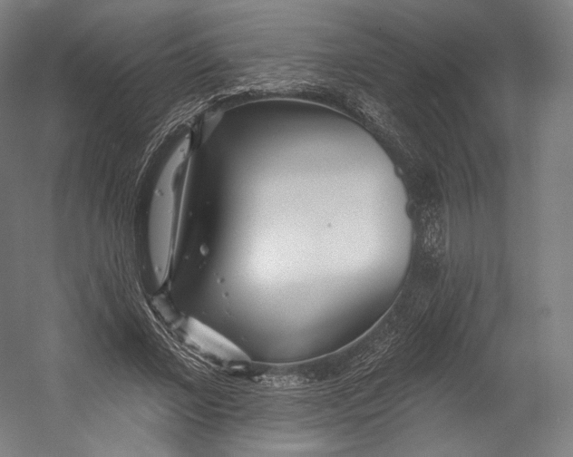 X0000055210685200508301322.png