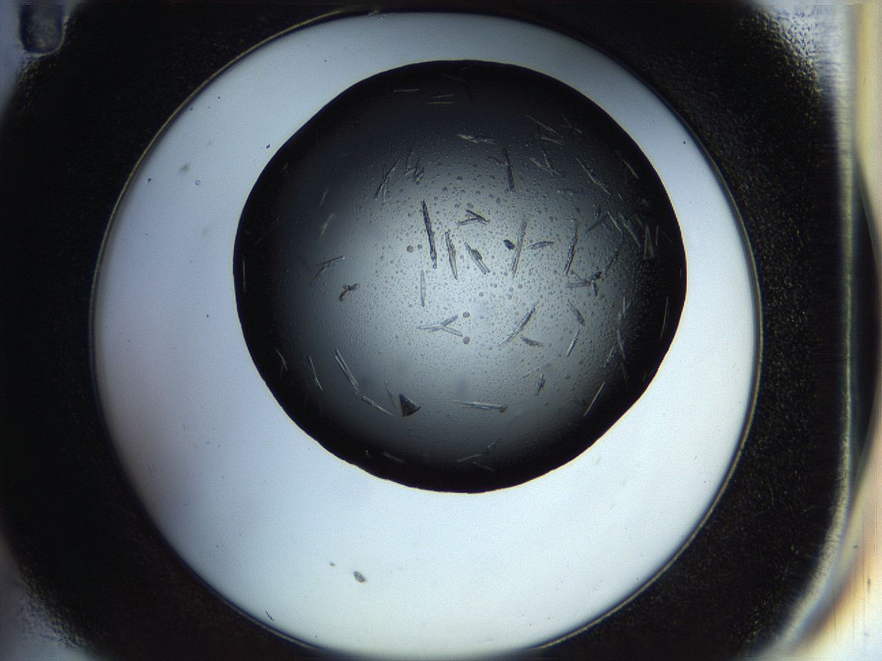 058l_C11_ImagerDefaults_7.jpg