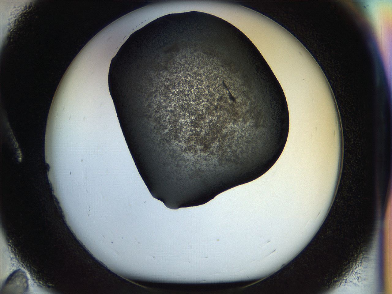 058l_A11_ImagerDefaults_7.jpg