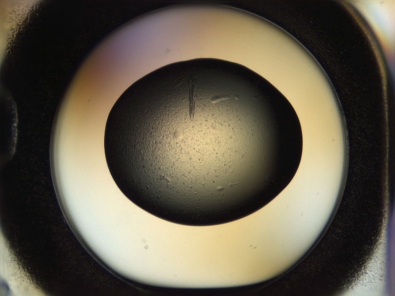 058l_D2_ImagerDefaults_9.jpg