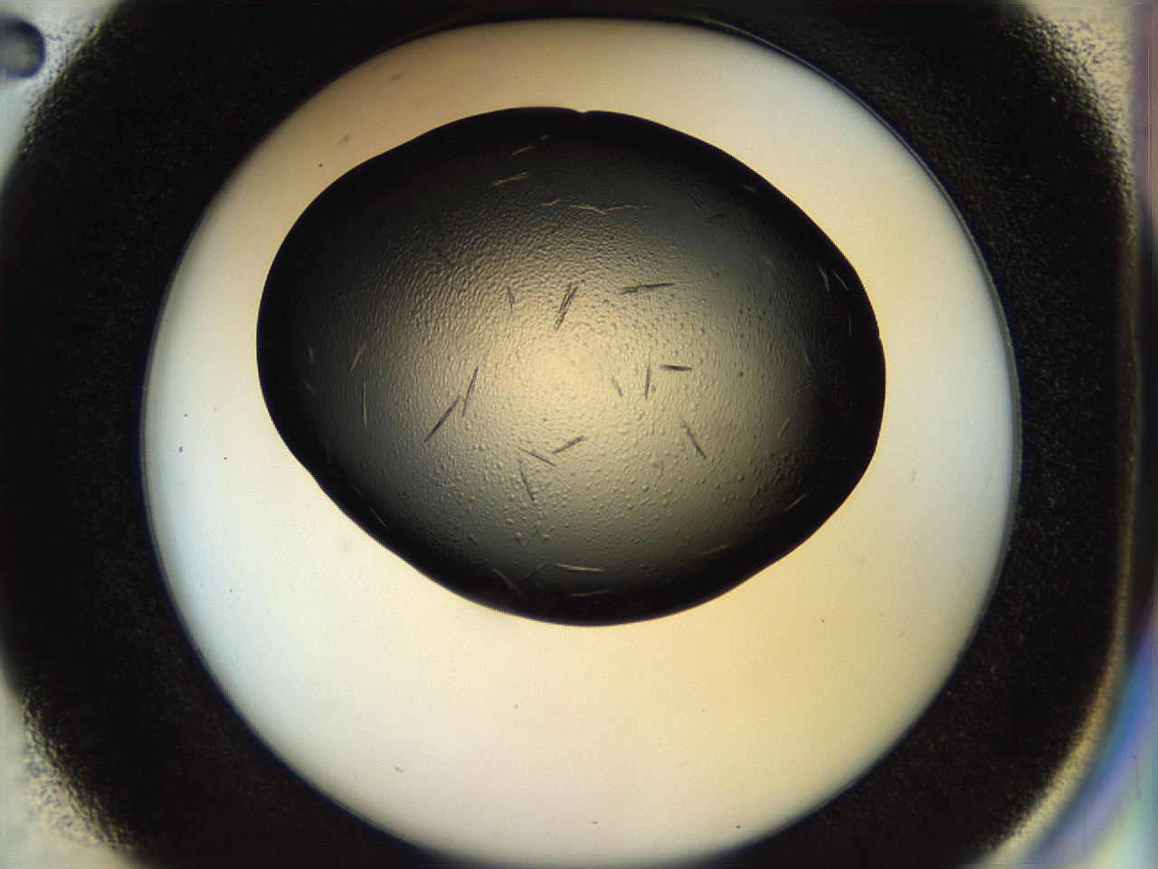 058l_D2_ImagerDefaults_7.jpg