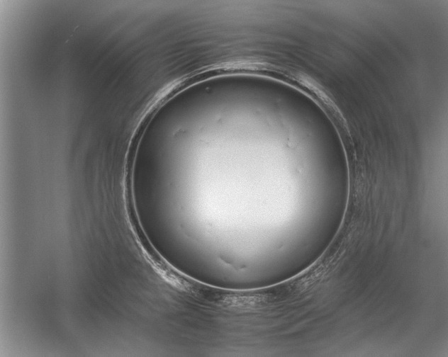 X0000055061237200508161637.png