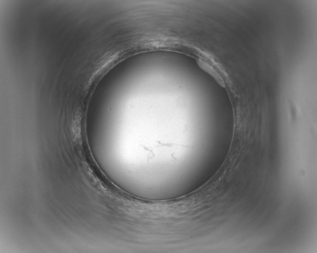 X0000055060010200508161658.png