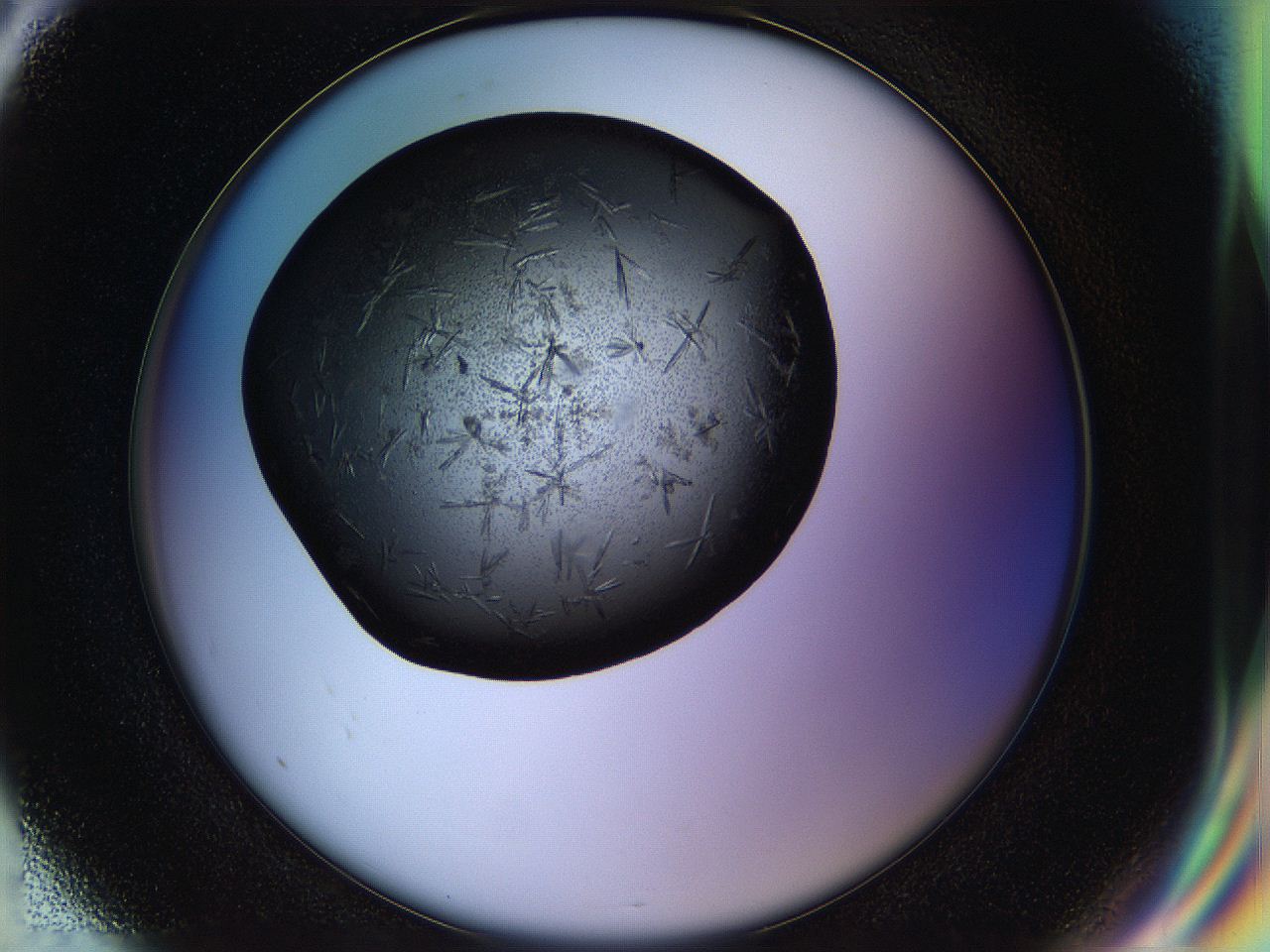 058l_G8_ImagerDefaults_7.jpg