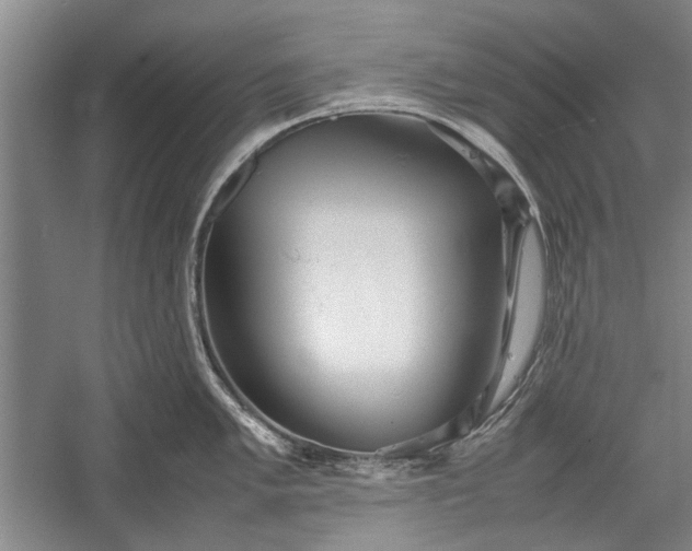 X0000055061005200508161641.png