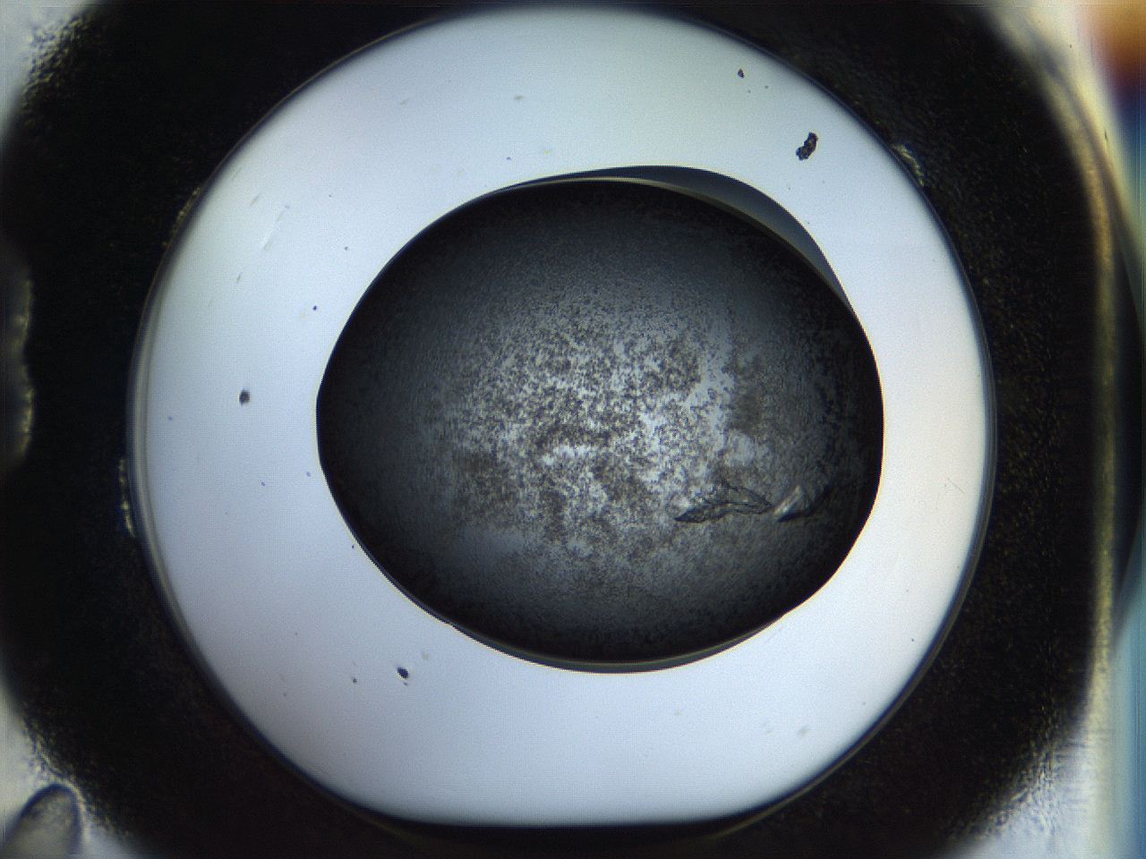 058l_B11_ImagerDefaults_9.jpg