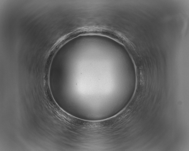 X0000055211213200508301313.png