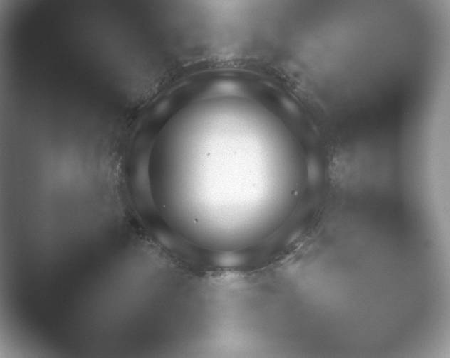 X0000052450476200507211319.png