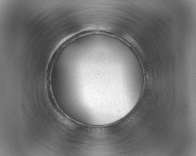 X0000054331020200508111913.png