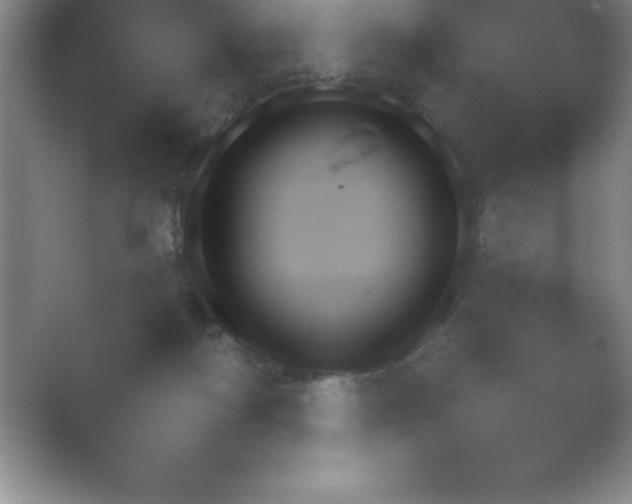 X0000054730122200508171902.png