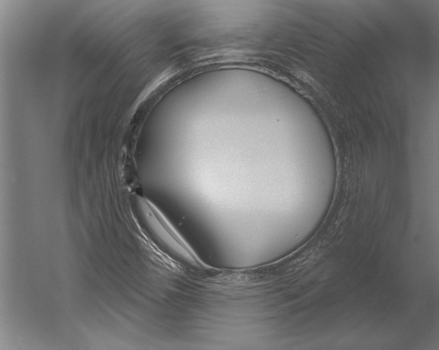 X0000055251450200509071603.png