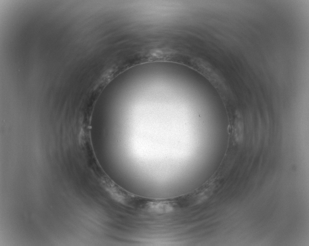 X0000054330520200508111922.png