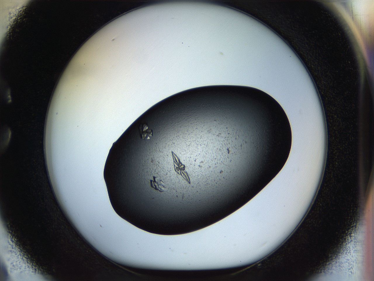 058m_C9_ImagerDefaults_9.jpg