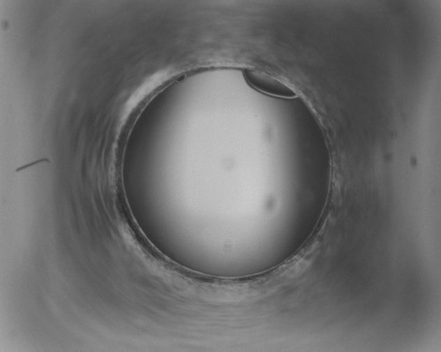 X0000054650008200508091653.png