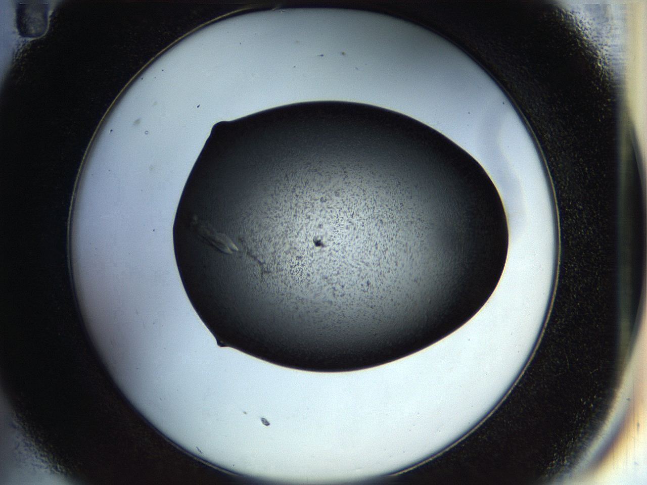 058m_C11_ImagerDefaults_9.jpg