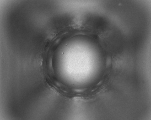 X0000054110477200508022104.png