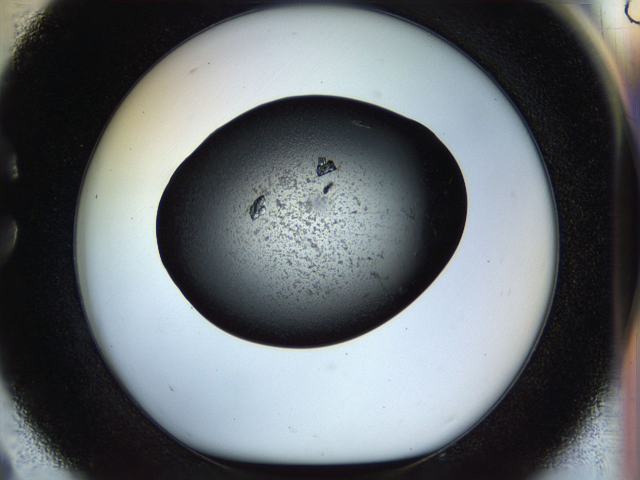 058n_C9_ImagerDefaults_9.jpg