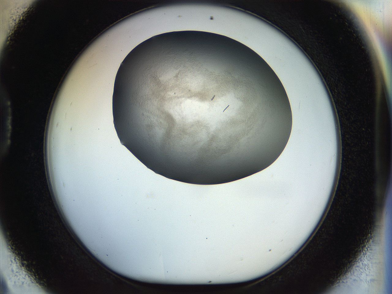 058p_D9_ImagerDefaults_9.jpg