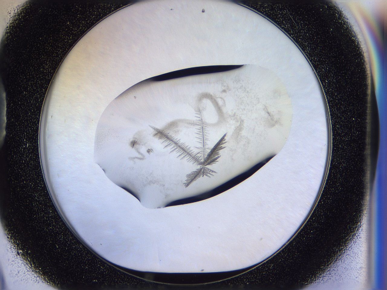 058q_D9_ImagerDefaults_9.jpg