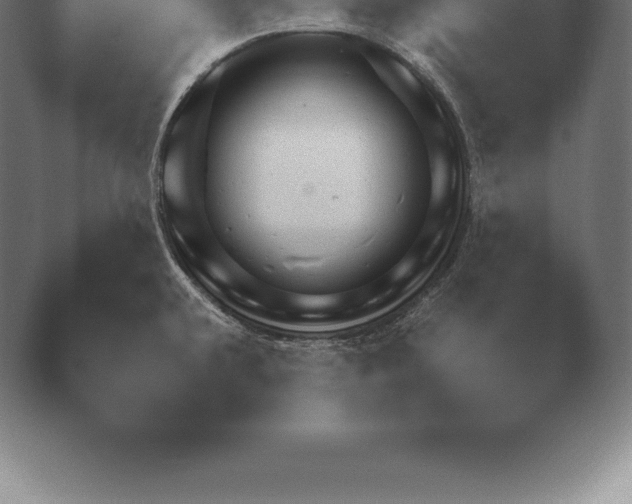 X0000038921432200409290953.png