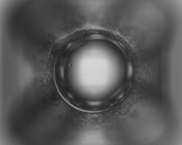 X0000044151303200412271244.png