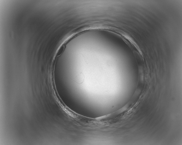 X0000055061197200508161637.png