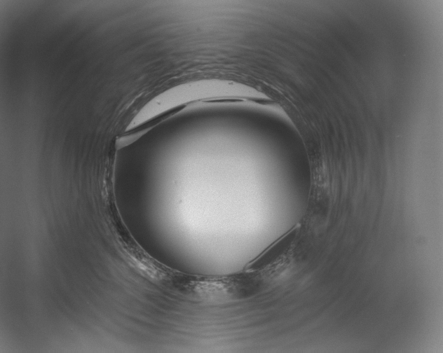 X0000055210572200508301325.png