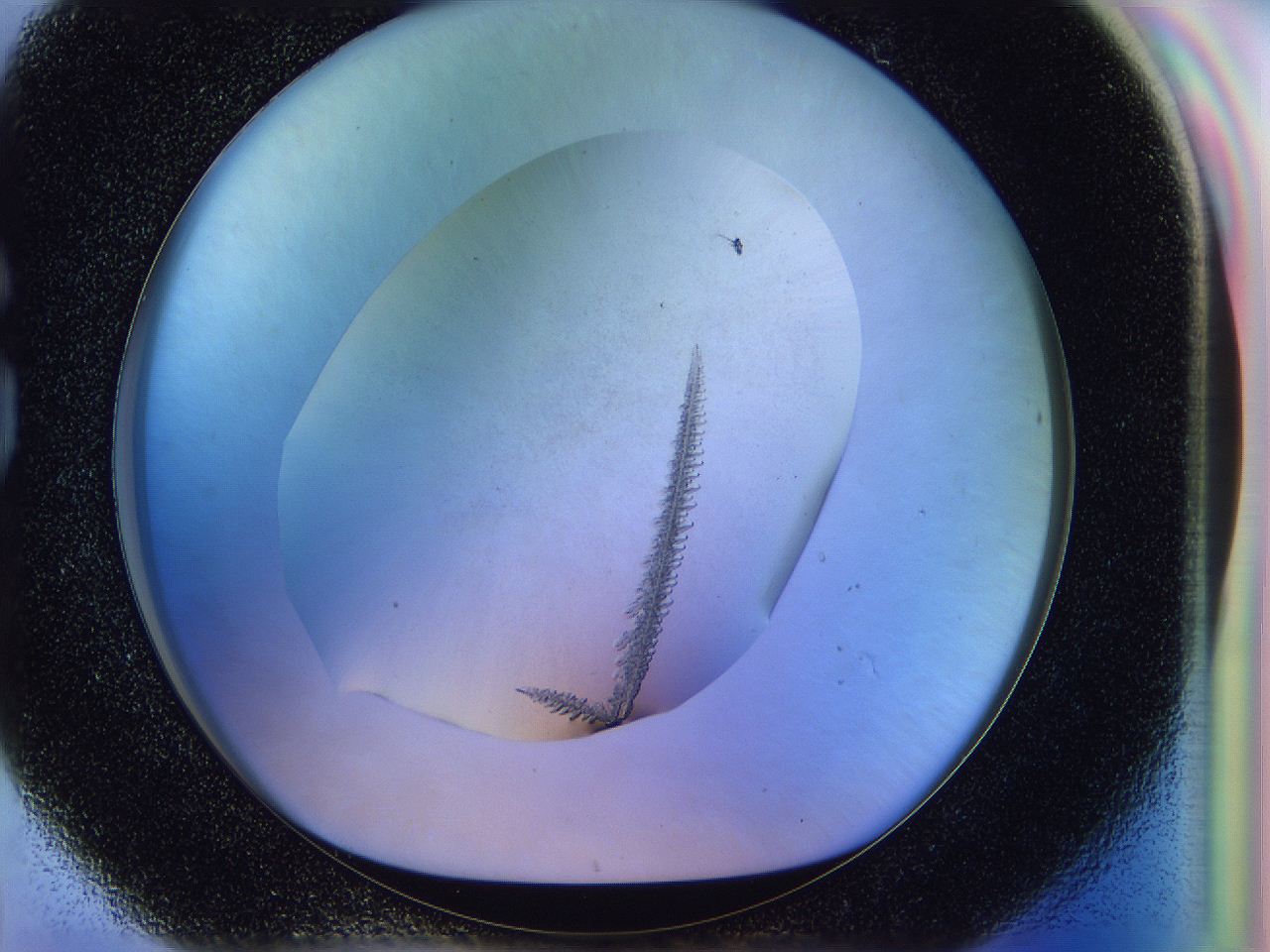 058q_G8_ImagerDefaults_9.jpg