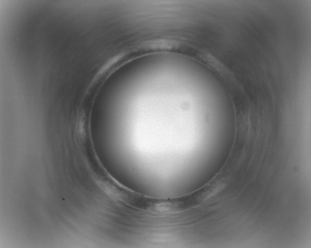 X0000054330064200508111930.png