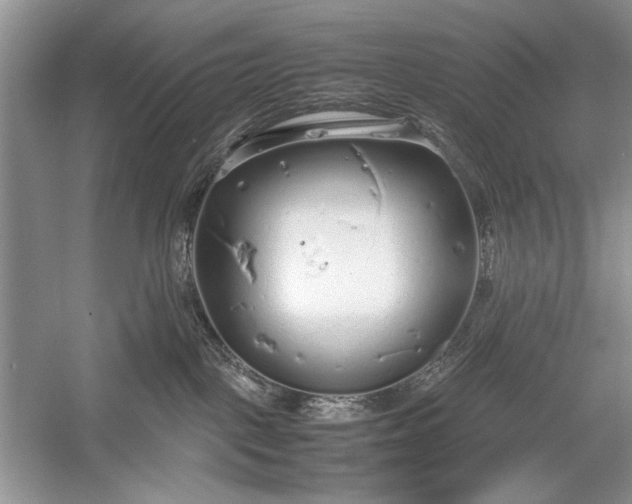 X0000055060093200508161657.png
