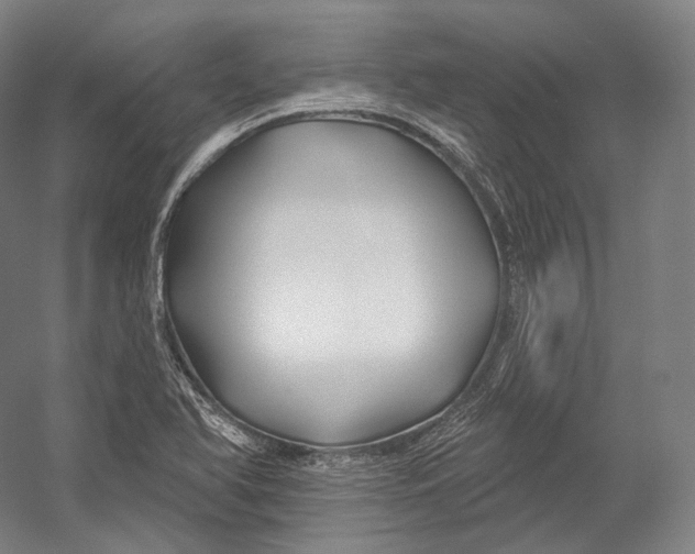 X0000055211366200508301311.png