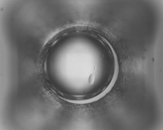 X0000052121208200507262043.png
