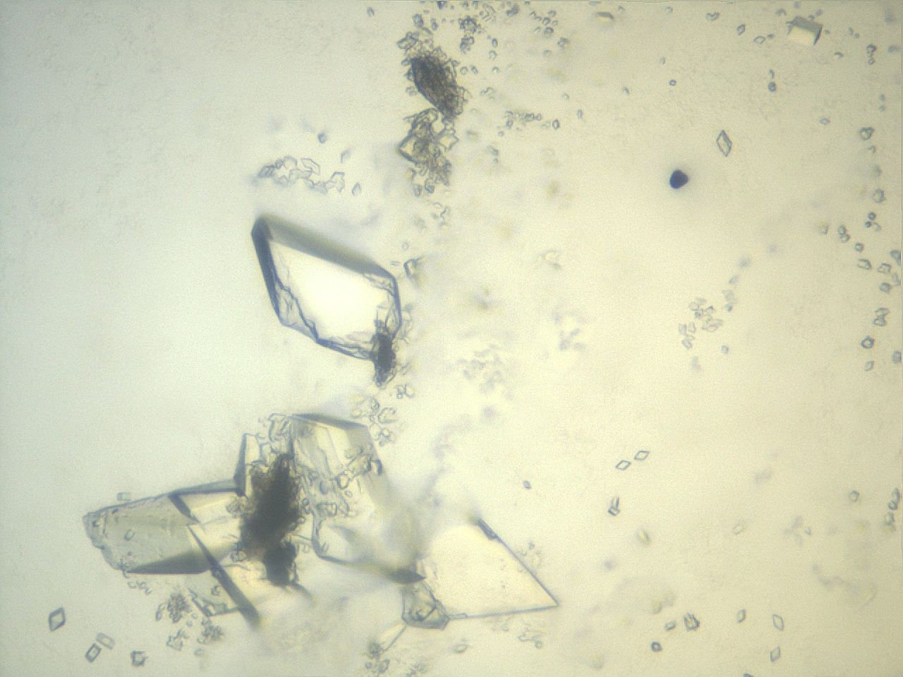 058r_C2_ImagerDefaults_9.jpg