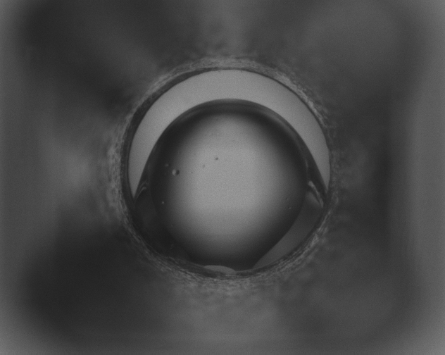 X0000044230008200501101650.png
