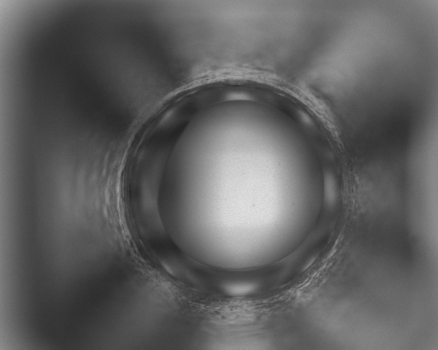 X0000052021198200507181618.png