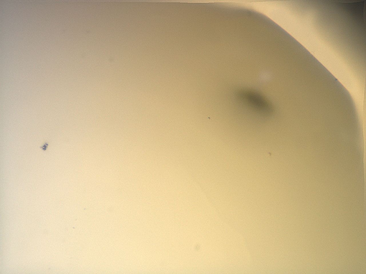 058r_A6_ImagerDefaults_1.jpg