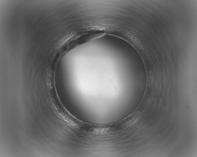 X0000055060450200508161650.png