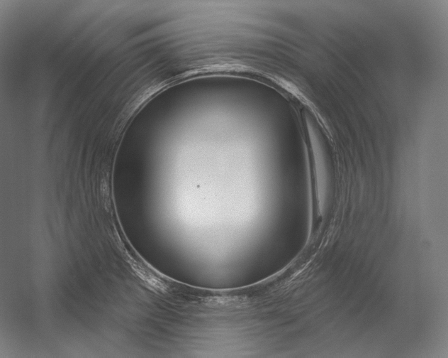 X0000055211281200508301312.png