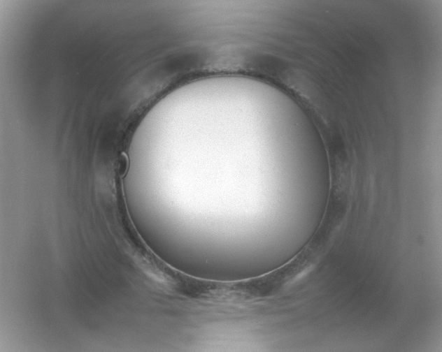 X0000054330681200508111919.png