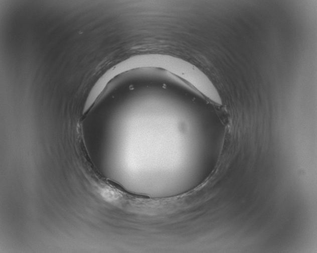 X0000055210045200508301333.png