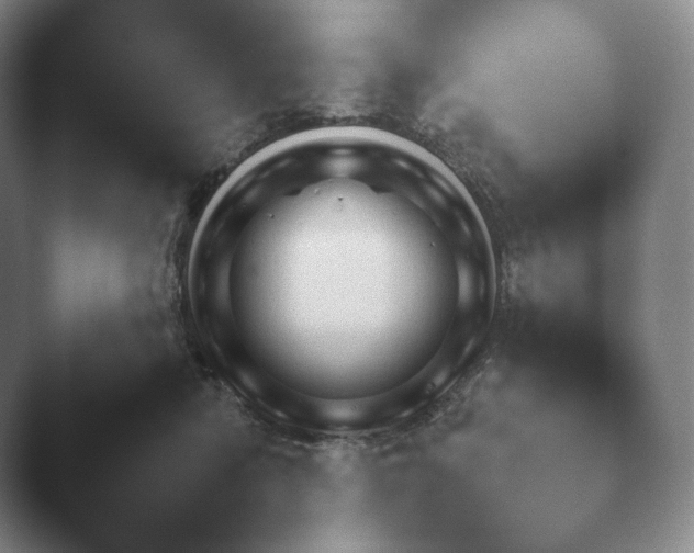 X0000045450422200502011701.png