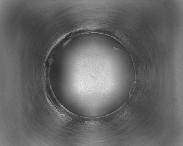 X0000055210440200508301326.png