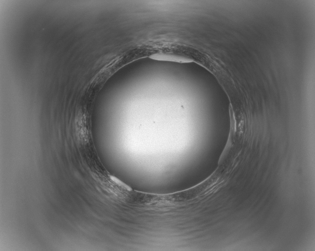 X0000055061156200508161638.png