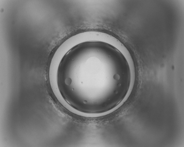 X0000052120489200507262055.png