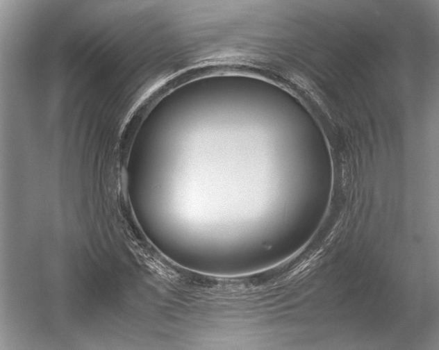 X0000055061069200508161639.png